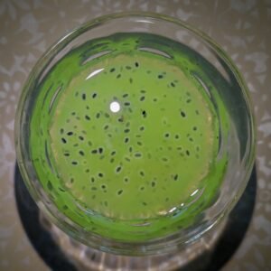 Basil Seeds (Tukh Malanga)