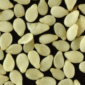 Sesame Seeds (Til, White)